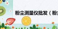 粉尘测量仪批发(粉尘测量仪)