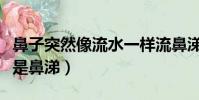 鼻子突然像流水一样流鼻涕(鼻子突然流水不是鼻涕)