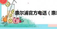 惠尔浦官方电话(惠尔浦公司)