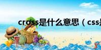 cross是什么意思(css是什么意思)