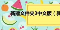 新建文件夹3中文版(新建文件夹3)