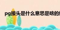 pg接头是什么意思是啥的缩写(pg接头)