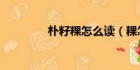 朴籽粿怎么读(粿怎么读)