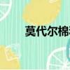 莫代尔棉和纯棉的区别（莫代尔棉）