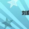 刘庭羽的（刘庭羽演员）