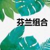 芬兰组合 一男一女（芬兰一夫多妻）