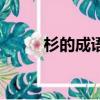 杉的成语大全四个字（杉的成语）