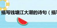 描写钱塘江大潮的诗句(描写钱塘江的诗句)