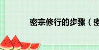 密宗修行的步骤(密宗修行)