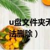 u盘文件夹无法删除怎么恢复（u盘文件夹无法删除）