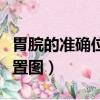 胃脘的准确位置图片及功效图（胃脘的准确位置图）