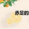 赤足的陨石知乎（赤足的陨星）