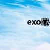exo藏书阁当家（exo藏书阁）