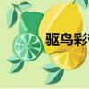 驱鸟彩带使用图片（驱鸟彩带）