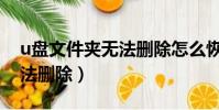 u盘文件夹无法删除怎么恢复(u盘文件夹无法删除)
