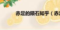 赤足的陨石知乎(赤足的陨星)