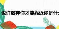 也许放弃你才能靠近你是什么歌(也许放弃)