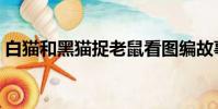 白猫和黑猫捉老鼠看图编故事(看图编故事)
