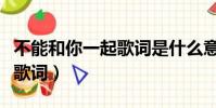 不能和你一起歌词是什么意思(不能和你一起歌词)