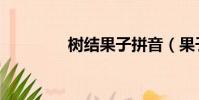 树结果子拼音(果子拼音)