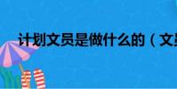 计划文员是做什么的(文员是做什么的)