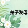 楚子发母文言文及翻译（楚子发母）