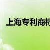 上海专利商标事务所有限公司（上海专利）