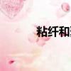 粘纤和聚酯纤维哪个好（粘纤）