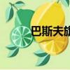 巴斯夫旗下油漆品牌（油漆品牌）