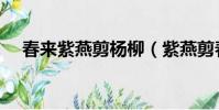 春来紫燕剪杨柳(紫燕剪春风的上一句)