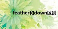 feather和down区别(feather)
