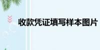 收款凭证填写样本图片(收款凭证)