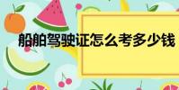 船舶驾驶证怎么考多少钱(船舶驾驶证)