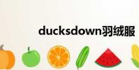 ducksdown羽绒服(ducks)