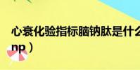 心衰化验指标脑钠肽是什么(心衰化验指标bnp)