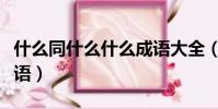 什么同什么什么成语大全(什么同什么什么成语)
