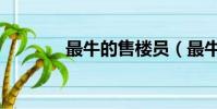 最牛的售楼员(最牛售楼员)