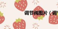 调节阀图片(调节阀)