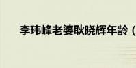 李玮峰老婆耿晓辉年龄(李玮峰老婆)