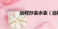 远程抄表水表(远程抄表)