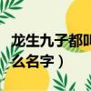 龙生九子都叫什么名字乌龟（龙生九子都叫什么名字）