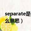 separate是什么意思怎么读（separate是什么意思）