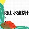 阳山水蜜桃什么价格（阳山水蜜桃多少钱一盒）