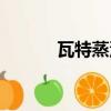 瓦特蒸汽机图片（瓦特蒸汽机）