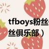tfboys粉丝俱乐部怎么注册不上（tfboys粉丝俱乐部）