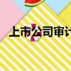 上市公司审计报告查询网（上市公司审计）