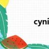 cynicismist（cynicism）