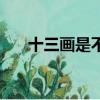 十三画是不是吉数（十三画什么意思）