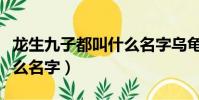 龙生九子都叫什么名字乌龟(龙生九子都叫什么名字)