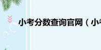 小考分数查询官网(小考分数查询)